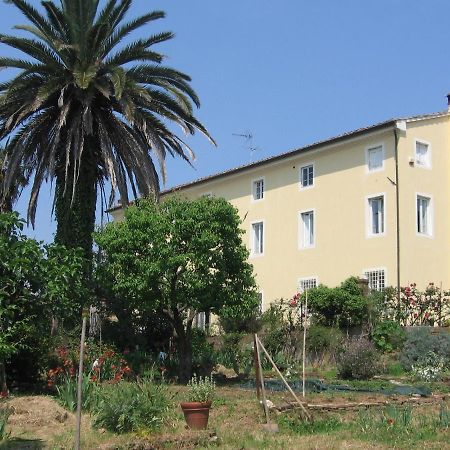Casa Marce A "Sonno" Bed and Breakfast Porcari Buitenkant foto