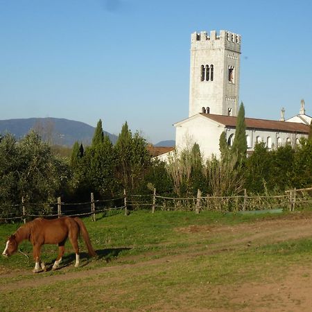 Casa Marce A "Sonno" Bed and Breakfast Porcari Buitenkant foto