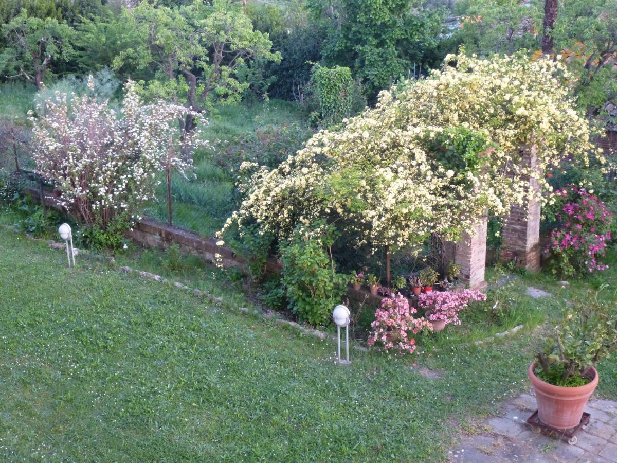 Casa Marce A "Sonno" Bed and Breakfast Porcari Buitenkant foto