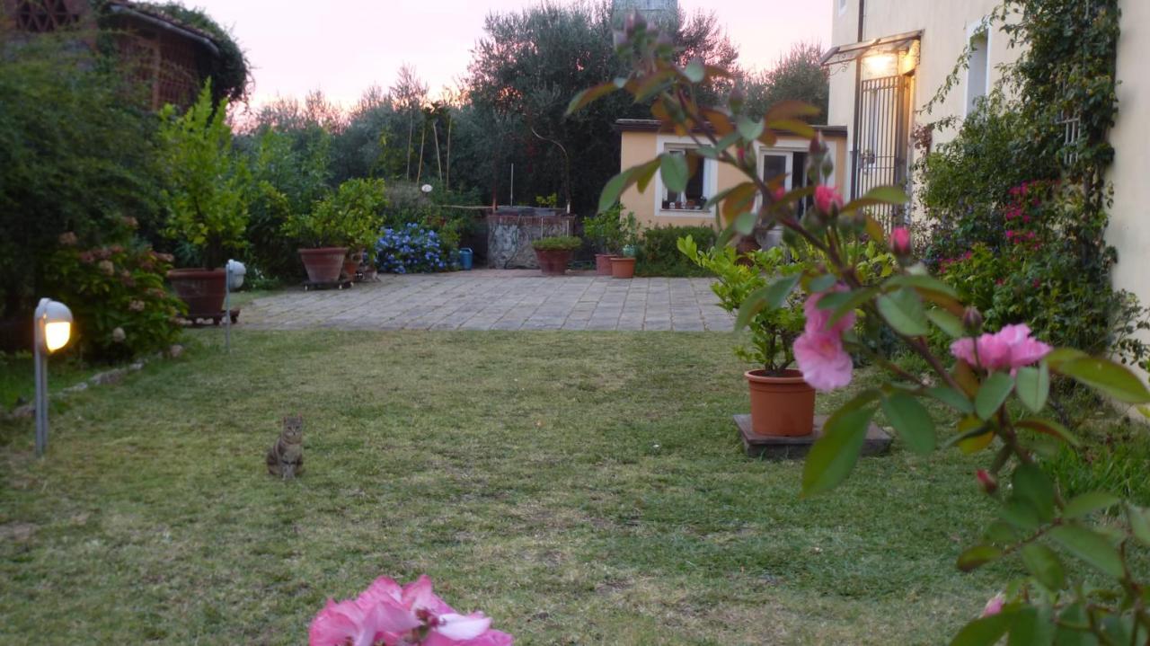 Casa Marce A "Sonno" Bed and Breakfast Porcari Buitenkant foto