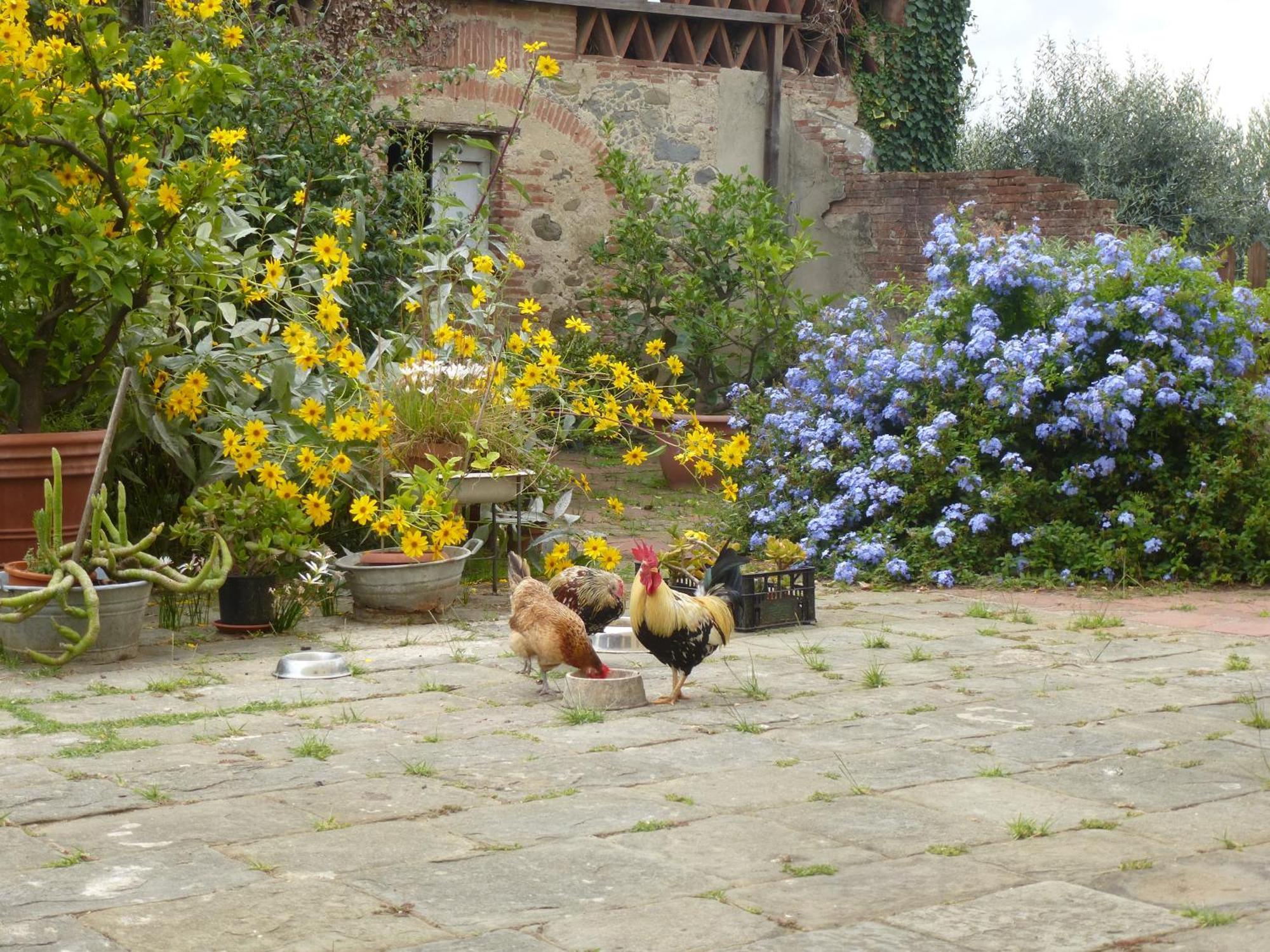 Casa Marce A "Sonno" Bed and Breakfast Porcari Buitenkant foto