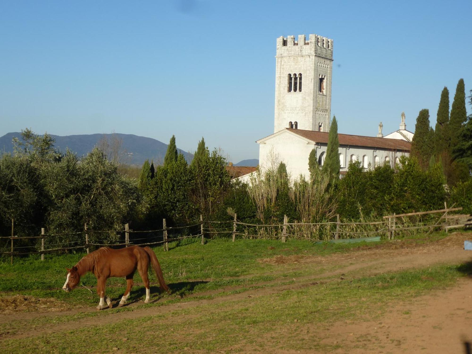 Casa Marce A "Sonno" Bed and Breakfast Porcari Buitenkant foto
